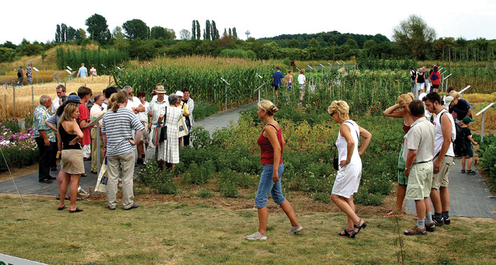 © MPI Pflanzenzüchtungsforschung Schaugarten MPIPZ