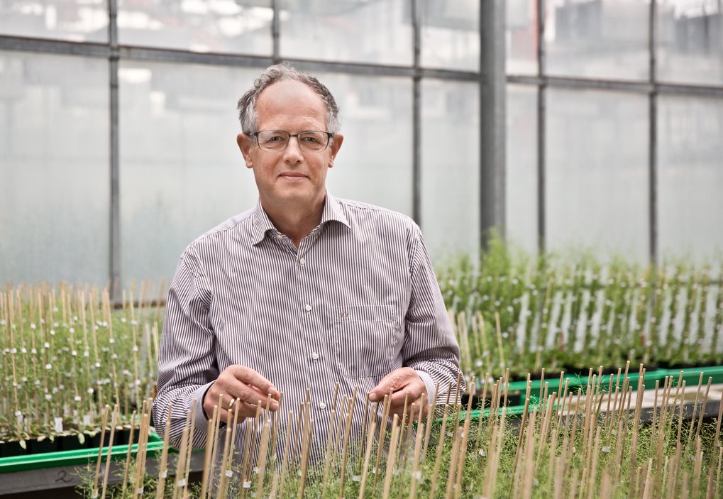 Prof. Dr. Maarten Koornneef