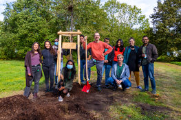 PhD Tree Alley planted at MPIPZ<br /> 