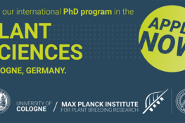 11 fully funded PhD student positions in the computational & experimental plant sciences