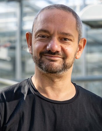 Professor Dr. Raphaël Mercier