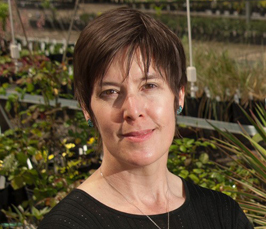 Stacey Harmer: Circadian rhythms are turning heads: clock regulation of sunflower growth and development 