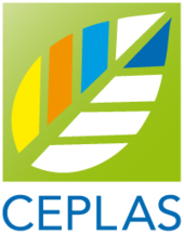 Förderung des Exzellenzclusters für die Pflanzenwissenschaften “CEPLAS“ bewilligt