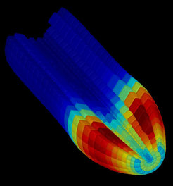Workflow of 3D segmentation and cell classification in an Arabidopsis thaliana mature embryo. Published in Bassel et al. 2014, PNAS.