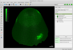 Simulation of phyllotaxis on a shoot apex using a Meinhardt activator-inhibitor system. The simulation combines a molecular network, cell-cell signaling, growth and cell division. As the apex grow, space opens up at the tip for a new leaf to form. Green represents the concentration of the activator.