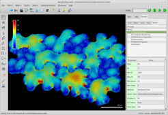 Simulation showing the turgor induced stresses on a template extracted from confocal images of Arabidopsis puzzle cells (see Sapala et al. 2018, eLife).
