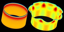 Simulation of growth on a continuous tissue. Increased growth of the top causes the structure to buckle like a daffodil corona.
