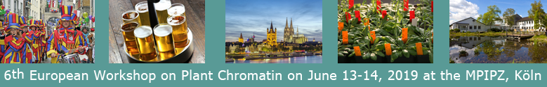 6th European Workshop on Plant Chromatin (EWPC)13-14 June 2019 6th European Workshop on Plant Chromatin (EWPC)13-14 June 2019