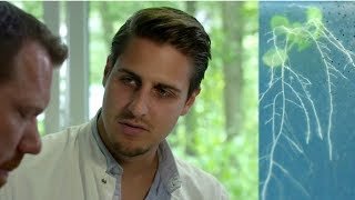 Ein Video mit Samuel Kroll vom Max-Planck-Institut für Pflanzenzüchtungsforschung.<br />05.09.2018