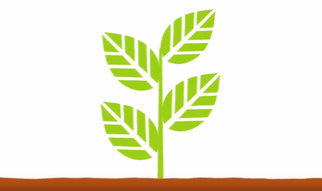 Cluster of Excellence on Plant Sciences (CEPLAS) für weitere 7 Jahre gesichert
