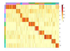 Clustering of cell-types based on genome-wide expression profiles