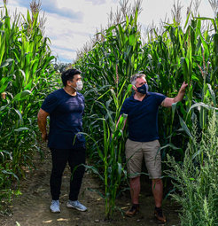 Thomas Hartwig und Seung-Hyun Park im Maisfeld