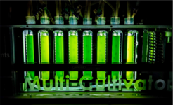 Multi-vessel photobioreactor system containing microbial consortia consisting of the green alga Chlamydomonas reinhardtii and a synthetic microbial community of 22 associated bacterial isolates. In this project the long-term dynamics of the system will be explored by incorporating the ciliate Tetrahymena pyriformis, a tractable predator species.