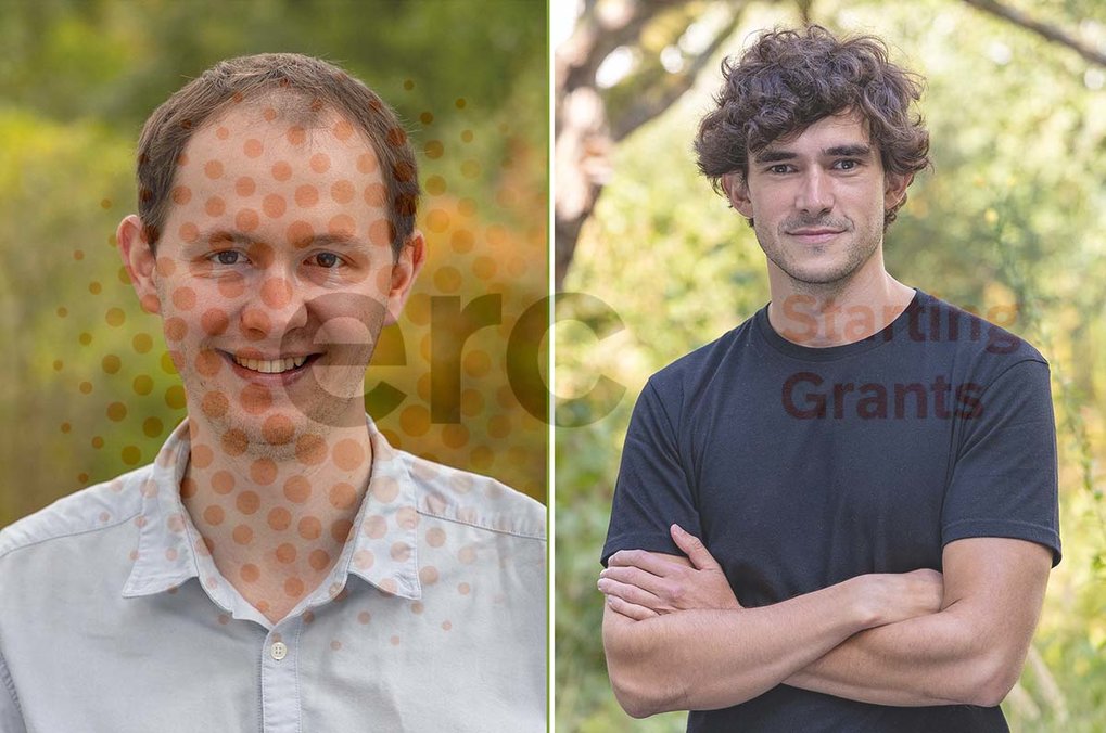 Forschende des Max-Planck-Instituts für Pflanzenzüchtungsforschung erhalten begehrten Starting Grant des Europäischen Forschungsrates (ERC)<br /> 