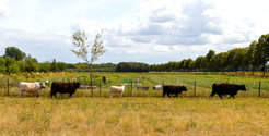 Tierisch neugierig