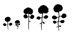 Natural variation in Cardamine hirsuta leaf form. We use genetic approaches to study the cause and consequences of such diversity.