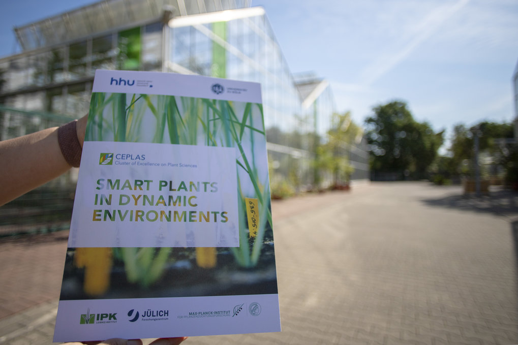 CEPLAS Cluster of Excellence on Plant Sciences enters third funding round