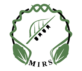 MIRS: MPIPZ Interdepartmental Researchers Seminar