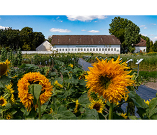 Offene Gartenpforte Rheinland / Open Showgarden
