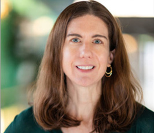 Sarah E. O'Connor: Harnessing the chemistry of plants Sarah E. O'Connor: Harnessing the chemistry of plants